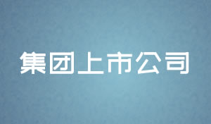 集團上市公(gōng)司網站設計及網站規劃方案